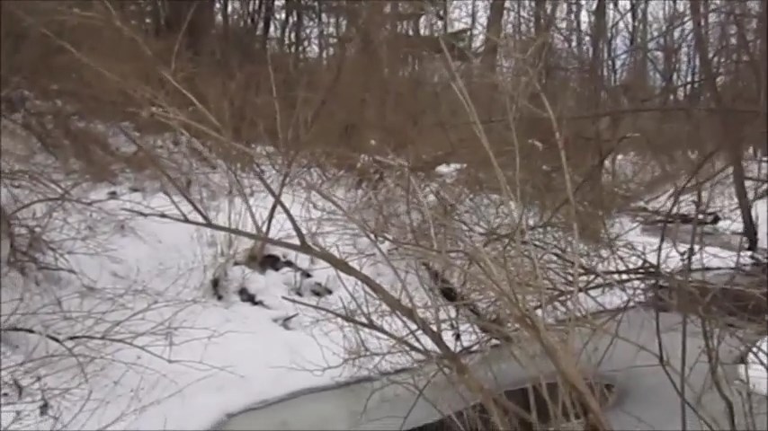fairport singles hiking group in winter snow
