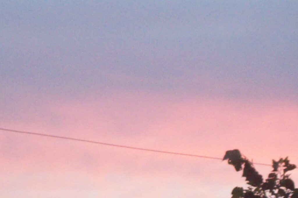 pink & purple sky